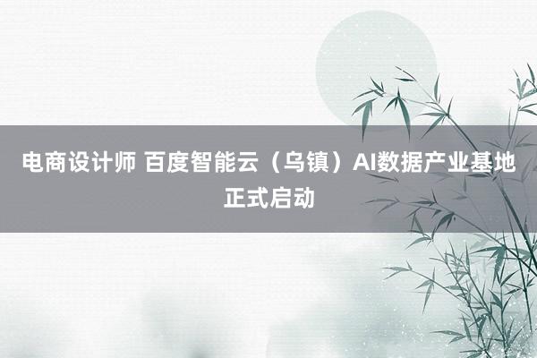 电商设计师 百度智能云（乌镇）AI数据产业基地正式启动